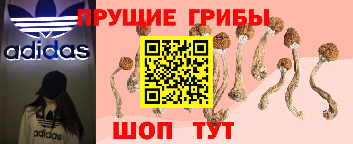 Псилоцибиновые грибы мухоморы  Галлюциногенные грибы Psilocybe  Приморско-Ахтарск  Вход с VPN 